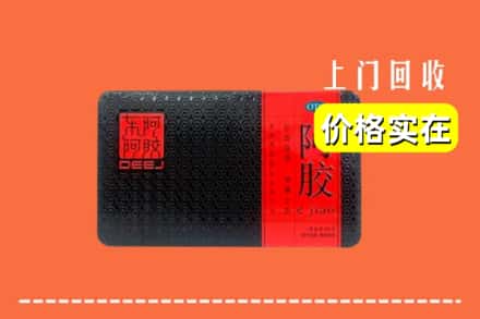 大连长海县回收阿胶