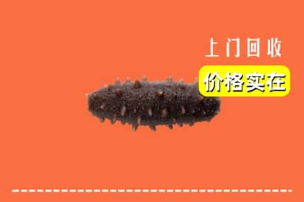 大连长海县回收海参