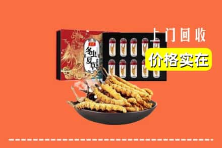 大连长海县回收虫草