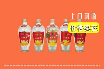 诚信求购:大连长海县高价回收老五粮液